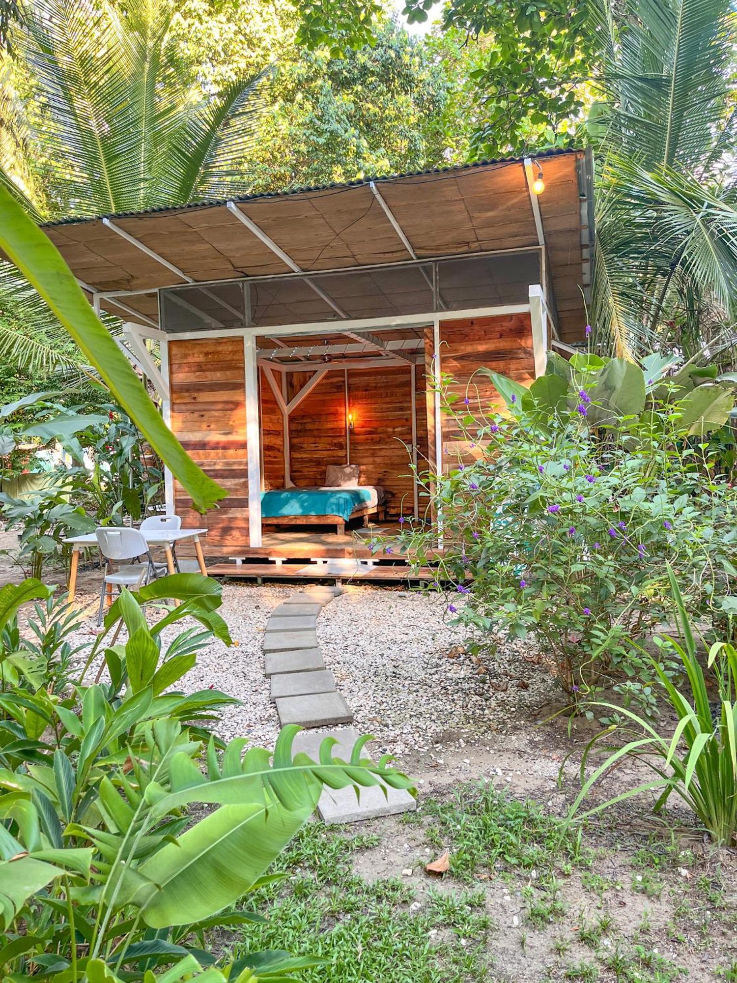 Nomadic Surf Camp Hostel Uvita Exterior photo